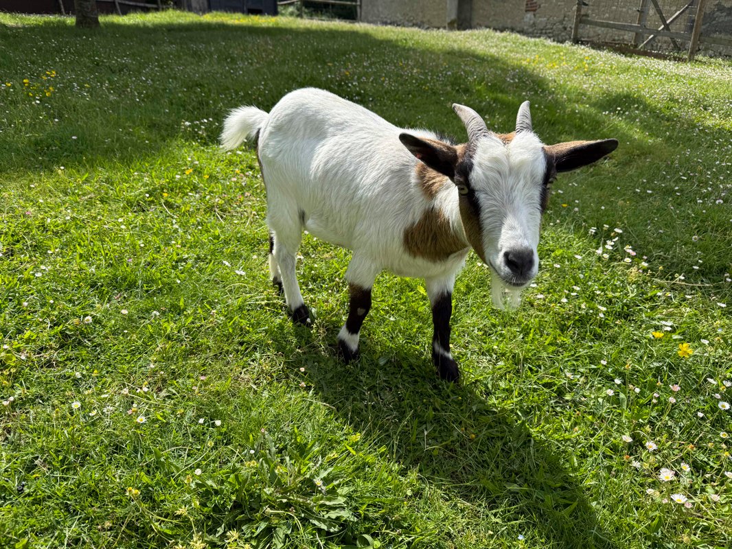 Le repère du Bûcheron & Spa à Cesset (52)