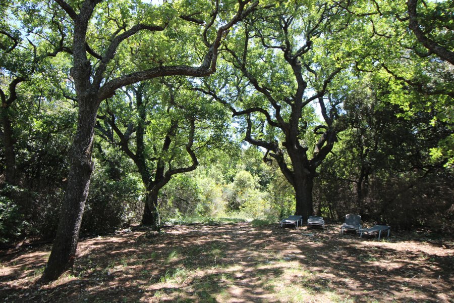 Domaine AbracadaRoom : Les Esplanes - Image 8