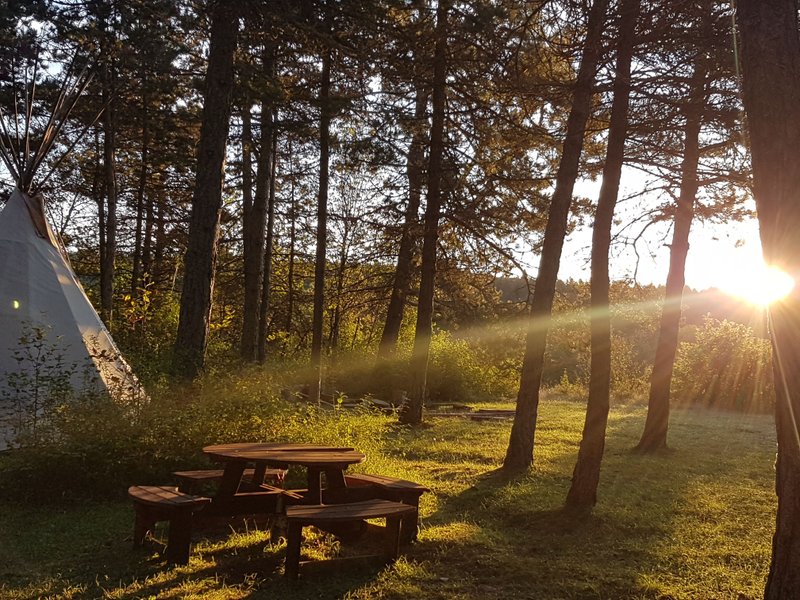 Domaine AbracadaRoom : KAYANE "balades à dos d'âne & nuitées atypiques" - Image 5