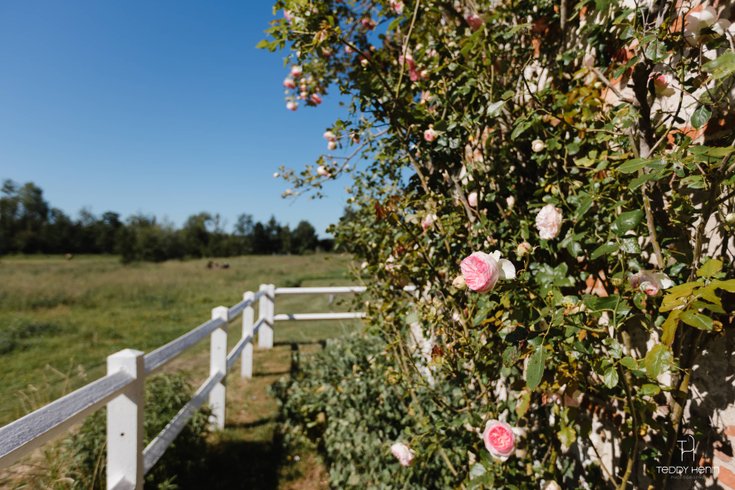 Hébergement AbracadaRoom : La Maisonnette de poupée avec cheminée, Vue Nature & Vélos - Image 14