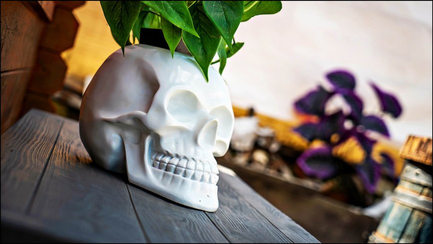 Hébergement AbracadaRoom : Bulle Texas – Luxe  & SPA – Vue Lac Aiguebelette - Image 40