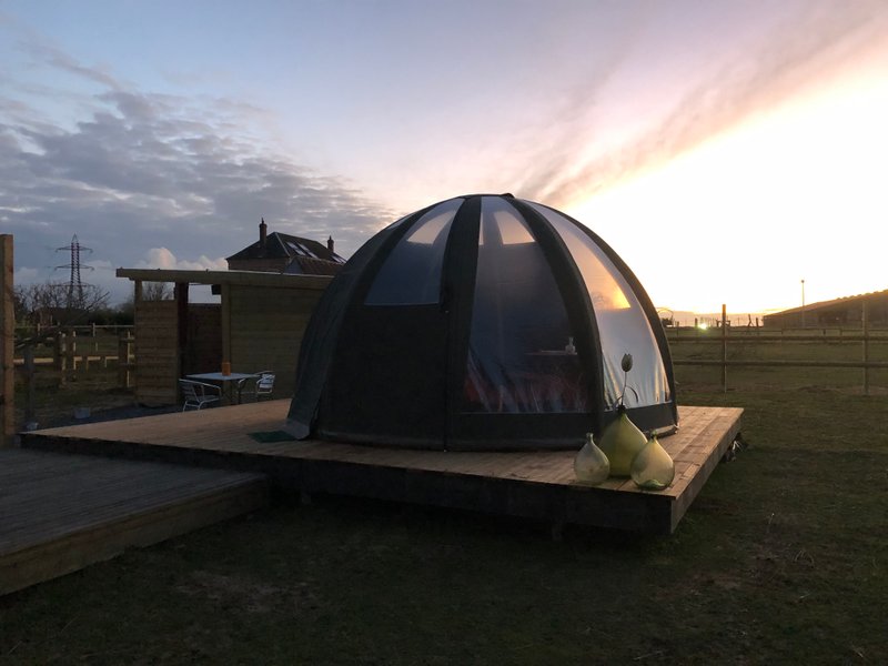 Domaine AbracadaRoom : Les alpagas du clos - Image 10