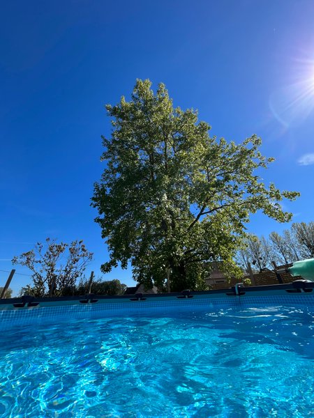 Domaine AbracadaRoom : F&M - Les hôtes de Chouzy-sur-Cisse - Image 12