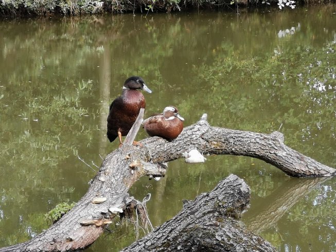Domaine AbracadaRoom : La Noé verte - Image 10