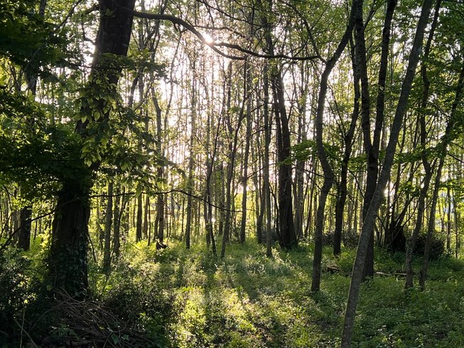 Domaine AbracadaRoom : La Garenne Saint Germain - Image 15