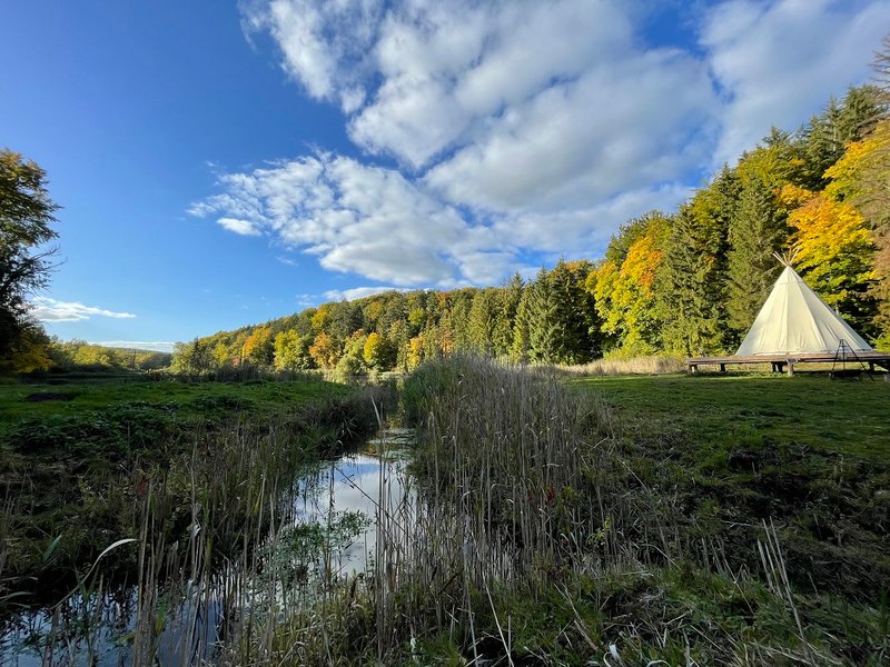 Domaine AbracadaRoom : Foxy Camp - Image 3