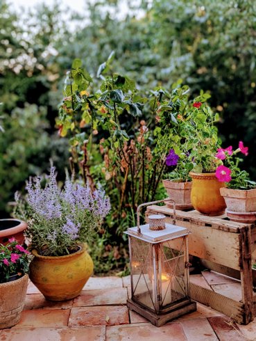 Domaine AbracadaRoom : Boa Vista, Mazet Provençal semi troglodyte - Image 7