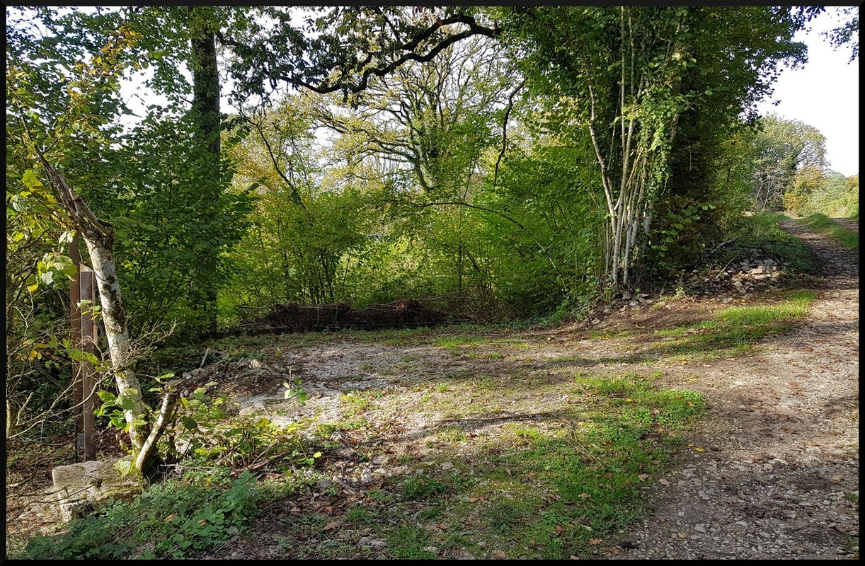 Le Dôme du Pré en Bulle à Champrenault (12)