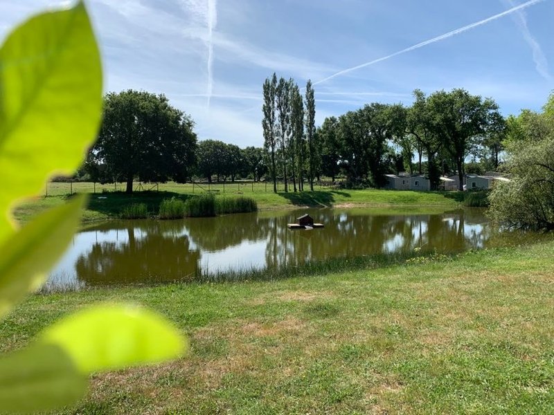 Domaine AbracadaRoom : Camping de l’Étang du Pays Blanc - Image 8