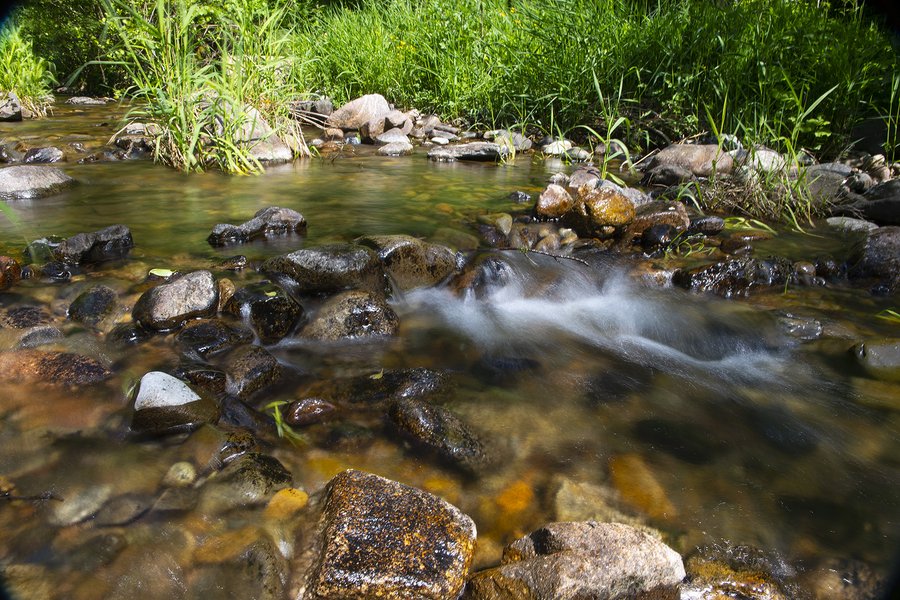 Domaine AbracadaRoom : Escale Cab'Ane - Image 16
