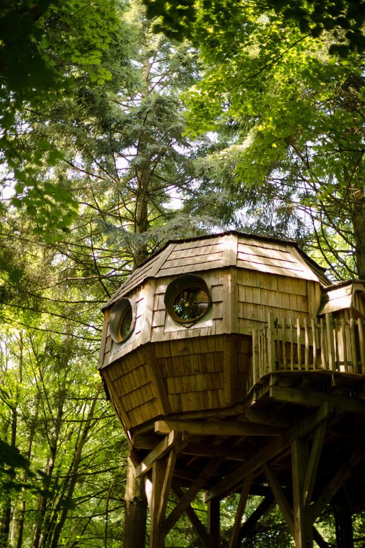 Cabane Spa Coupole à Raray (7)