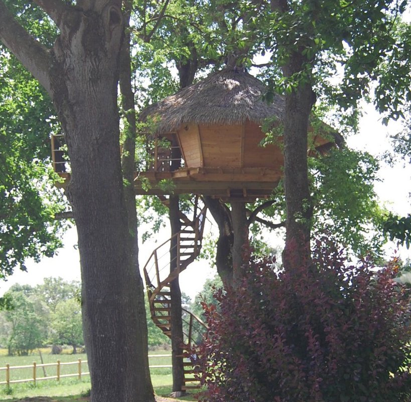 Dam'oiseaux à St Aubin Des Préaux (1)