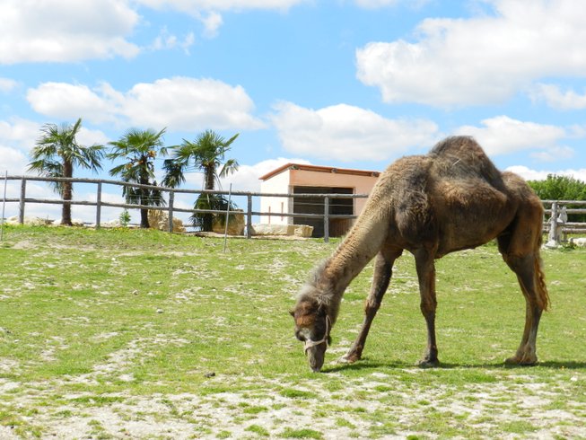 Domaine AbracadaRoom : DéfiPlanet' - Image 3