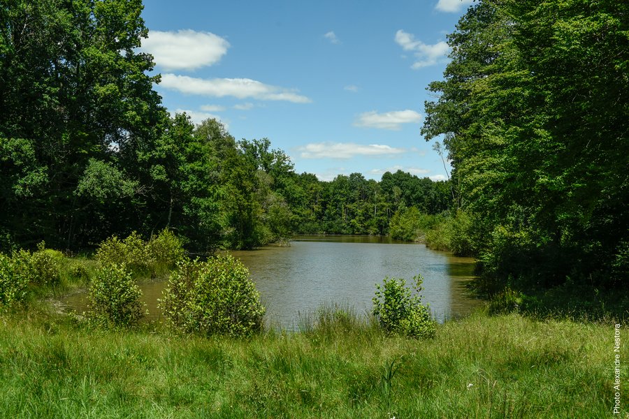 rivière-séjour insolite-en famille-tout confort-centre-abracadaroom
