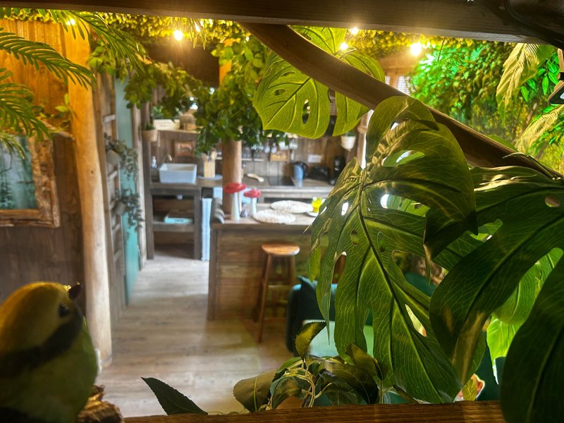Hébergement AbracadaRoom : La Jungle Room de Paulette - Image 10