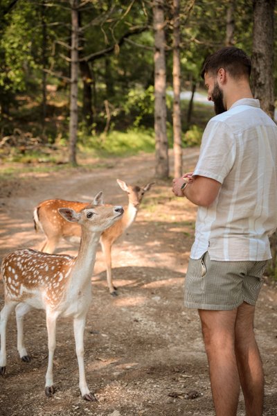 Hébergement AbracadaRoom : Cabane Spa Vitaminée - Image 15