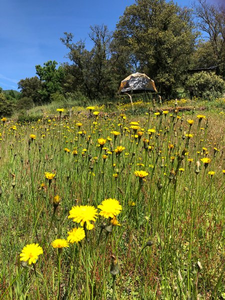 Domaine AbracadaRoom : The Enchanted River - Image 2
