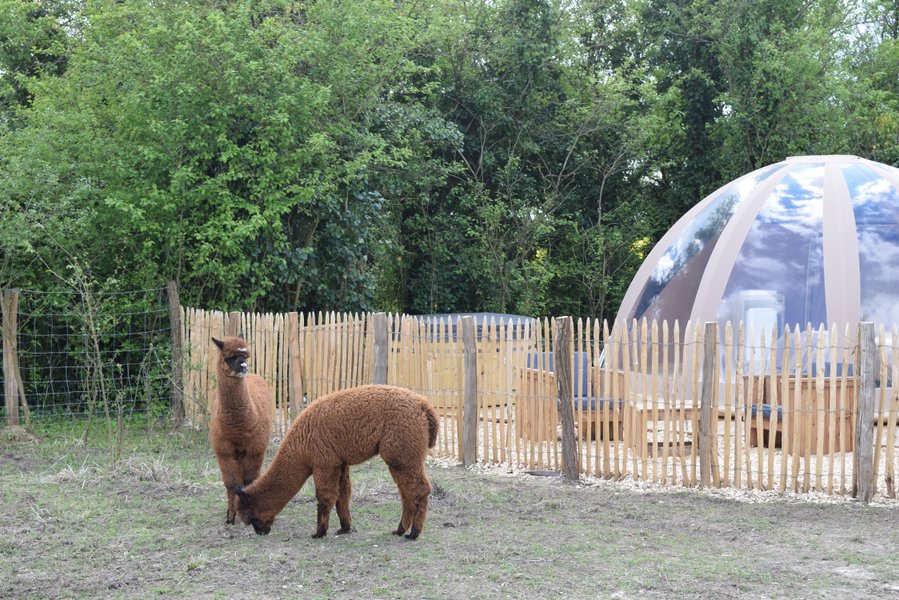 Hébergement AbracadaRoom : Bulle de nature & Spa - Image 2