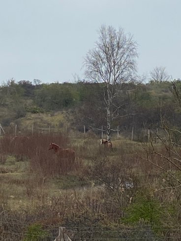 Hébergement AbracadaRoom : Lodge Valhalla - bain nordique-kota grill (repas inclus)-sauna au feu de bois - Image 36