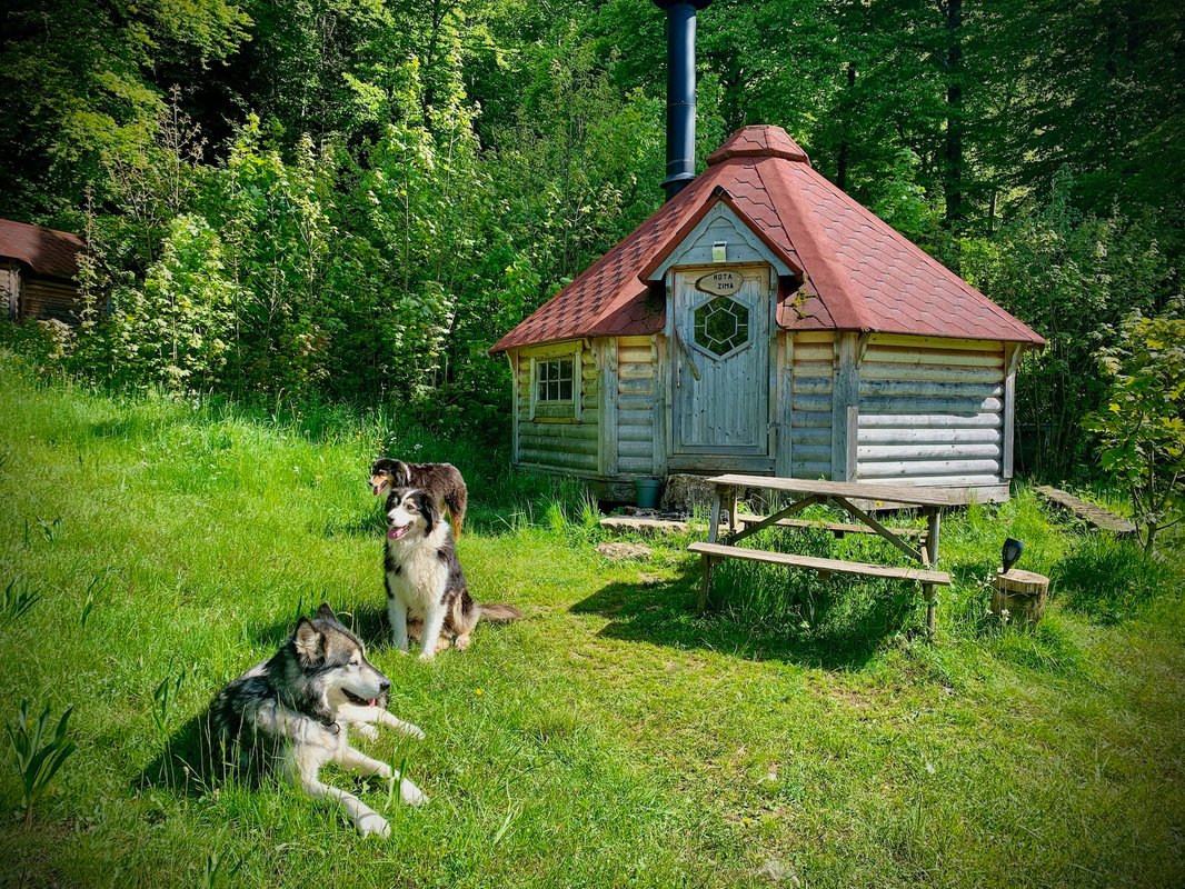 Kota 4 Zima - Séjour inoubliable auprès de huskies à Vassieux-En-Vercors (24)