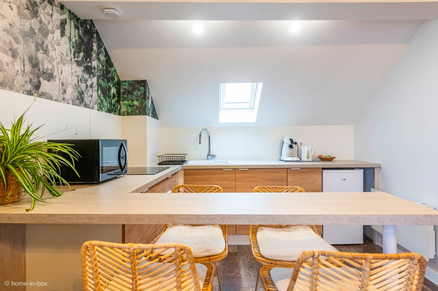 Suite Jungle Palace avec jacuzzi — photo 2