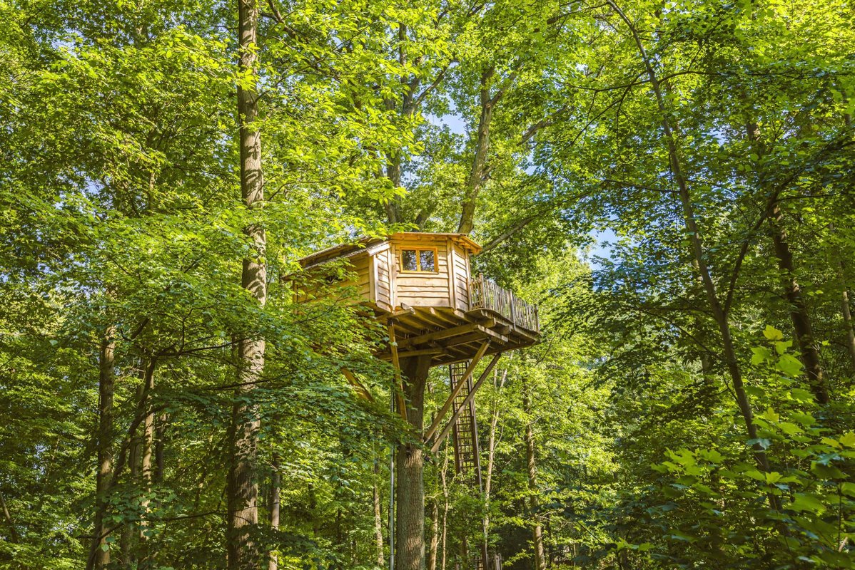 Cabane Secrète à Raray (4)