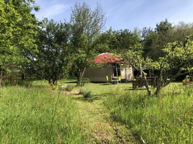Domaine AbracadaRoom : La yourte des Saules - Image 2