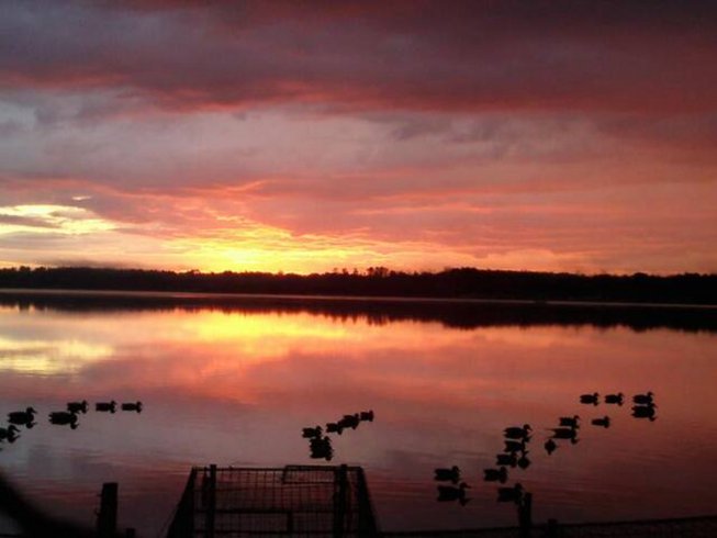 Hébergement AbracadaRoom : Tiny contemporaine & Spa - Image 37