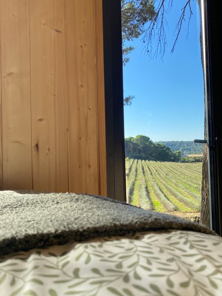 Domaine AbracadaRoom : Homnest (Mondragon) - Image 20