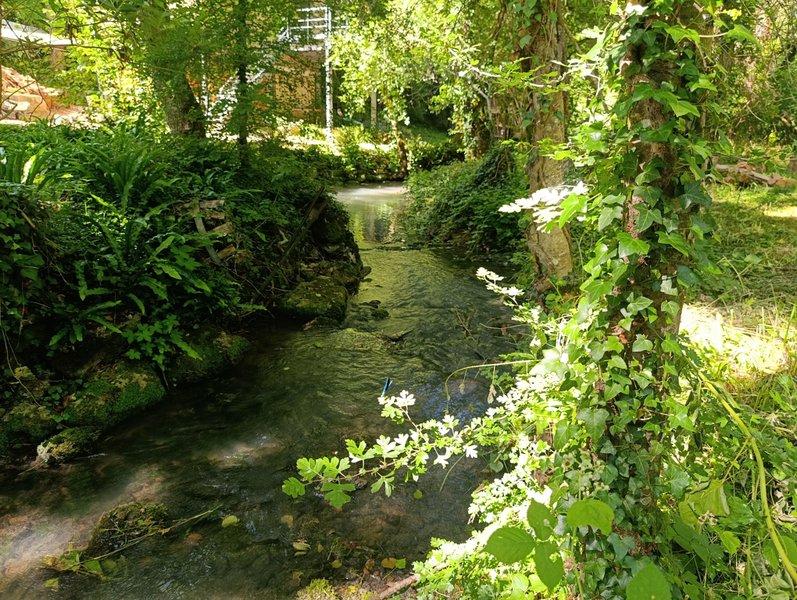Domaine AbracadaRoom : Moulin des Merveilles - Image 2