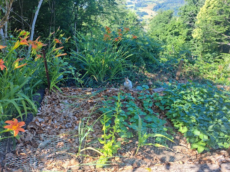 Hébergement AbracadaRoom : Le Refuge d'Yzeron - Image 66