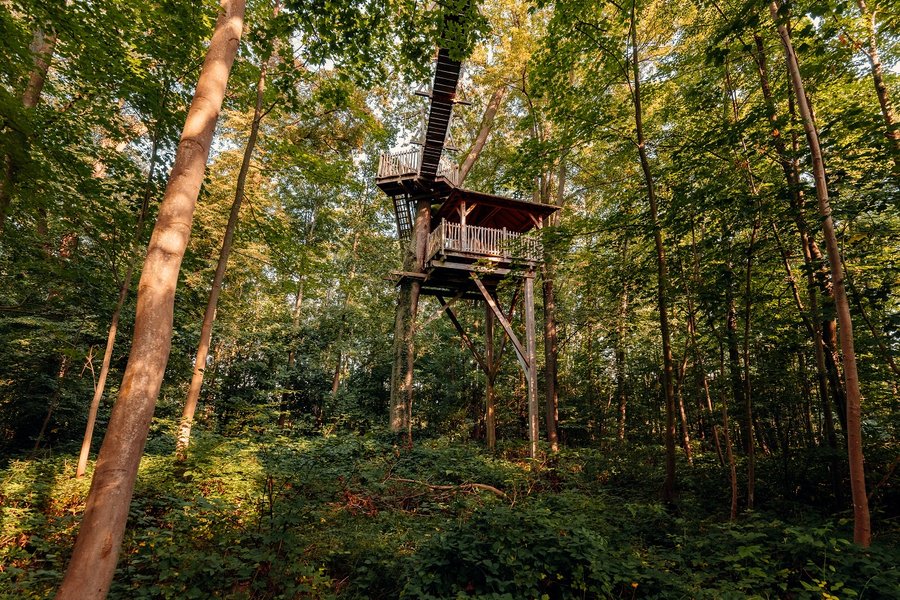 Domaine AbracadaRoom : Cabanes des Grands Chênes - Image 6