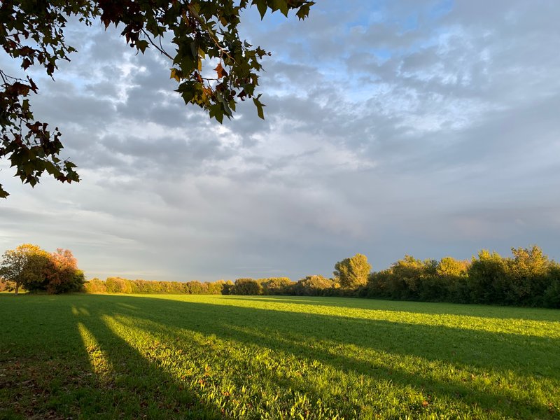 Domaine AbracadaRoom : Mon Lodge en Provence - Image 4