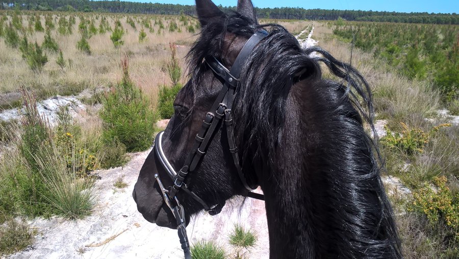 Domaine AbracadaRoom : Les Landines - Image 7