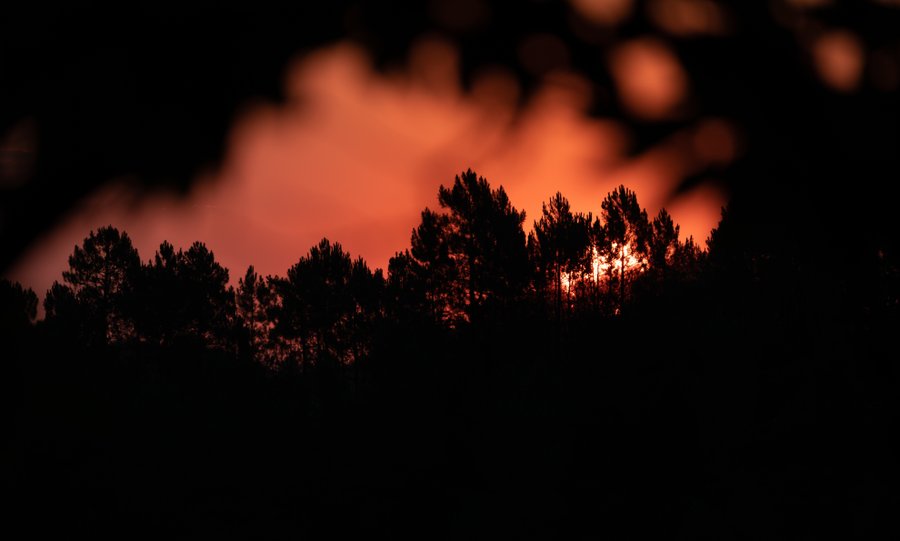 Domaine AbracadaRoom : NaturEnCévennes - Image 3
