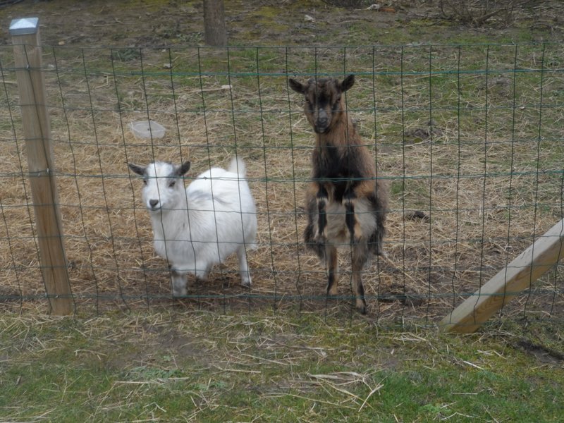 Domaine AbracadaRoom : Domaine d'I.S.A. - Image 5