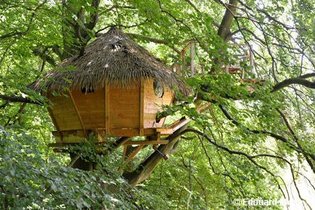 Cabane dans les arbres Seine-Maritime