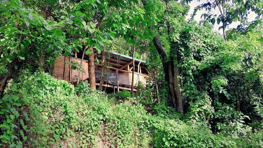 Domaine AbracadaRoom : Les cabanes entre les arbres de Lydie - Image 6