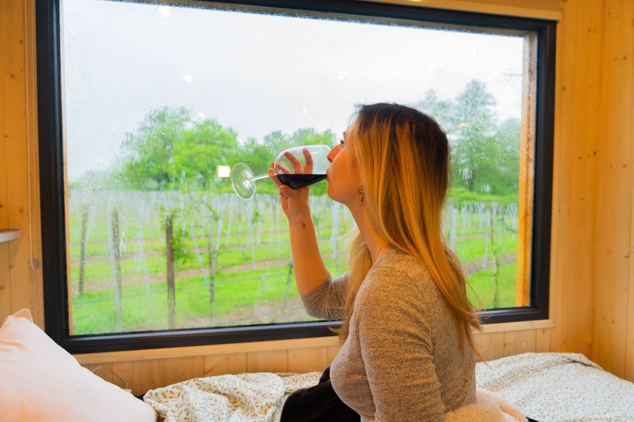 Hébergement AbracadaRoom : Le Clos des Gojis - Route de Saint-Emilion - Image 4