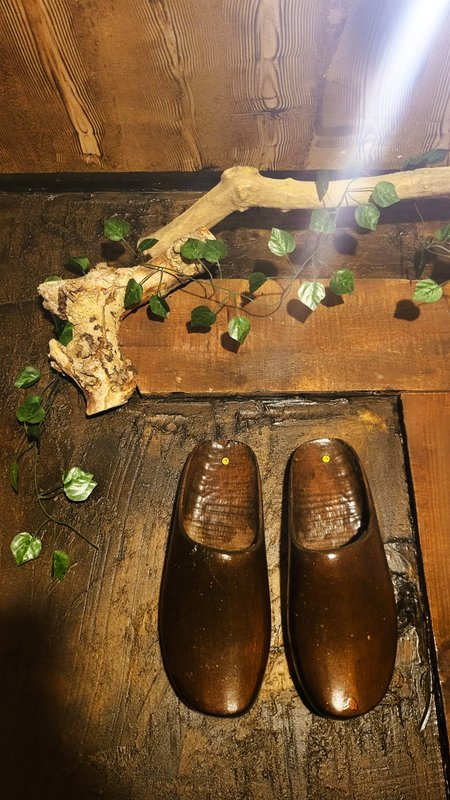 L'auberge du Trône à Saint-Étienne (18)