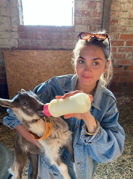 Domaine AbracadaRoom : Centre Equestre de la Vallée - Image 8