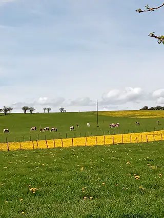 Domaine AbracadaRoom : Roulotte du Jura Vert - Image 14