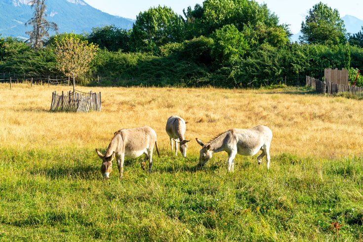 Domaine AbracadaRoom : Maison d'hôtes de la Santon - Image 1