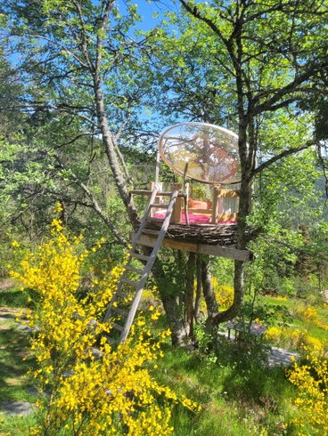 Hébergement AbracadaRoom : Le Nid, perché à la cime de l'arbre - Image 1