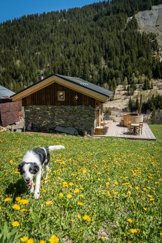 Domaine AbracadaRoom : Chez Mil'gonnet - Image 3