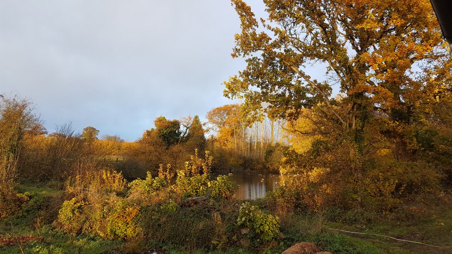 Domaine AbracadaRoom : Domaine de la Boderie - Image 2