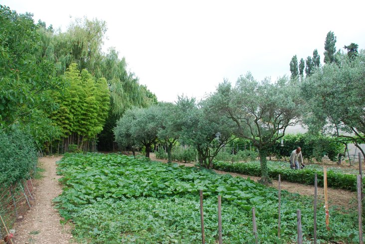 Domaine AbracadaRoom : Nid'Oiselet - Image 33