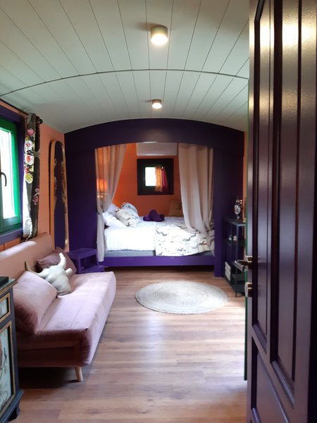 Domaine AbracadaRoom : REMY A DIT - Image 6