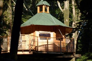 Cabane dans les arbres Finistère
