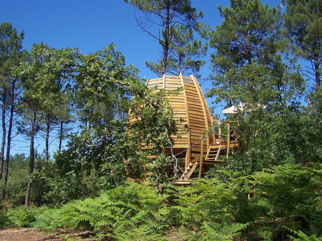 Cabane Perchée (2/5 pers) à Captieux (7)